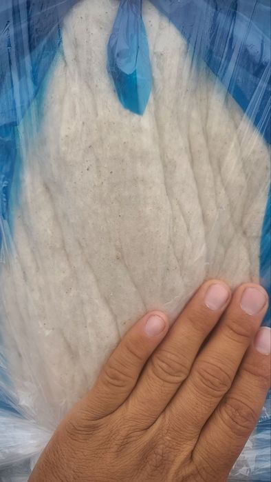 Той пахта toy paxta oq