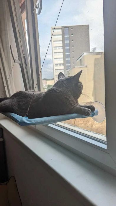 Котешки хамак - люлка за прозорец, Залепващо легло за котки, котка