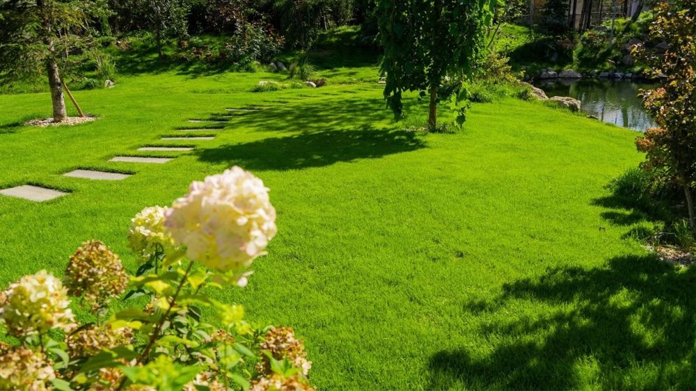 Amenajari gradini, spatii verzi, sistem de irigat, drenaj apa pluviala