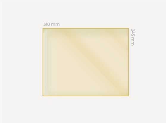 Scula Sticla semineu Busteni , Bradet  31 cm x 24,5 cm