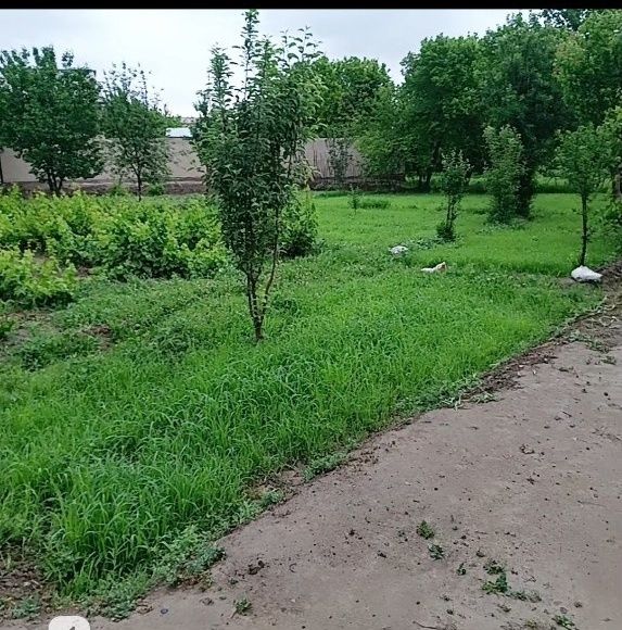 Uchastka joyi sotiladi