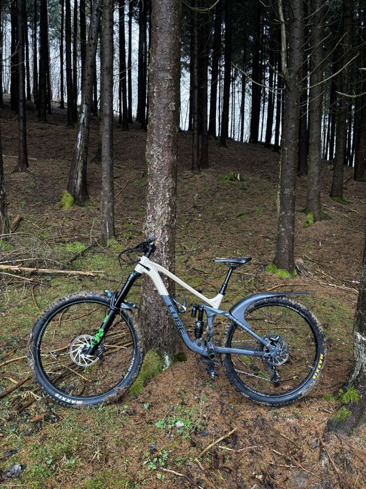 Cube stereo 170 race 29 L (MTB Enduro)