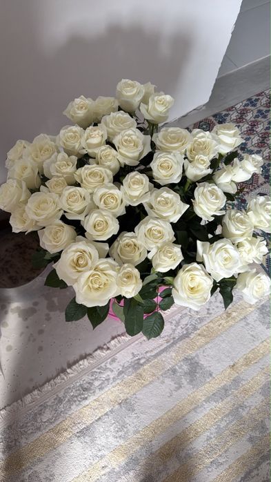 Свежие белые розы