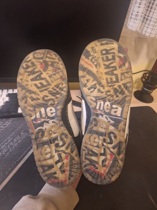 SB Dunk Panda Pigeon by Jeff Staple