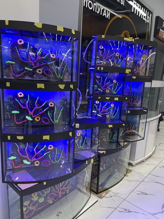 Akvarium New avalniy 20Litr