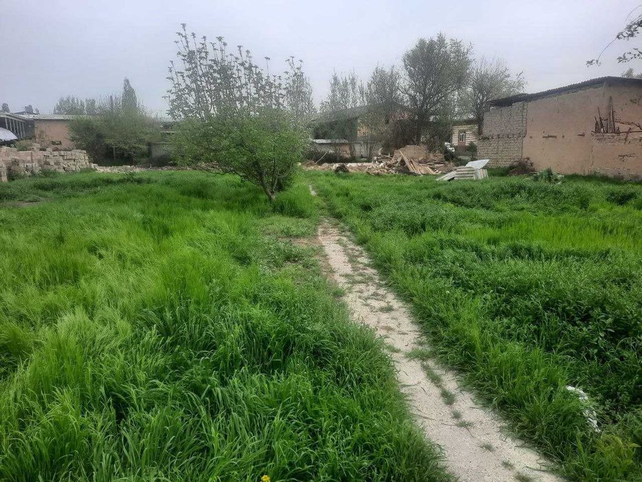 Кибрай тумани, Откир маҳалласида 6 сотих ер участкаси сотилади!