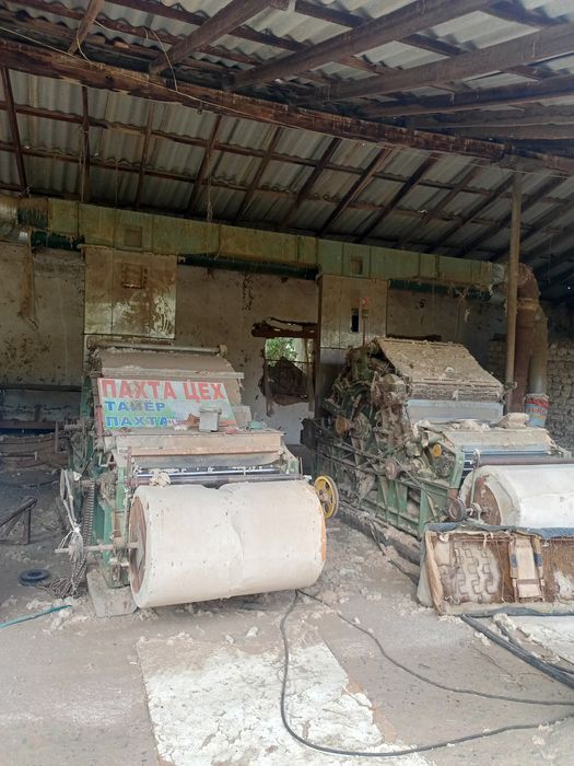 Tayyor biznes paxtasex