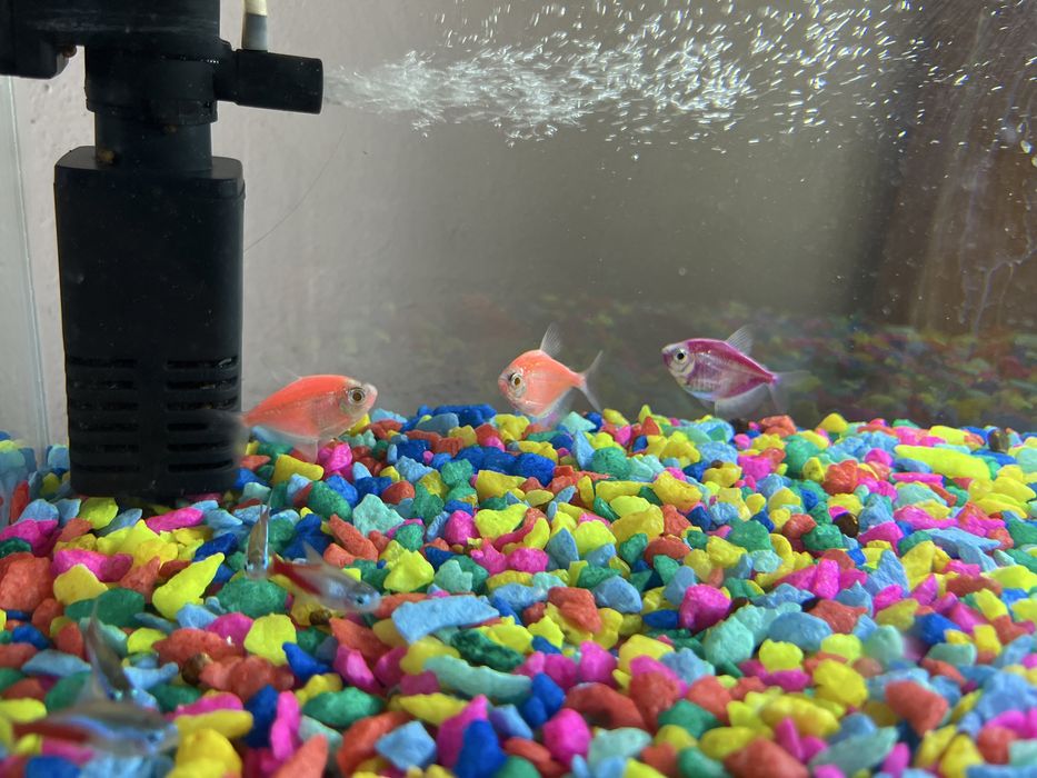 Аквариум 30 литров – полный комплект