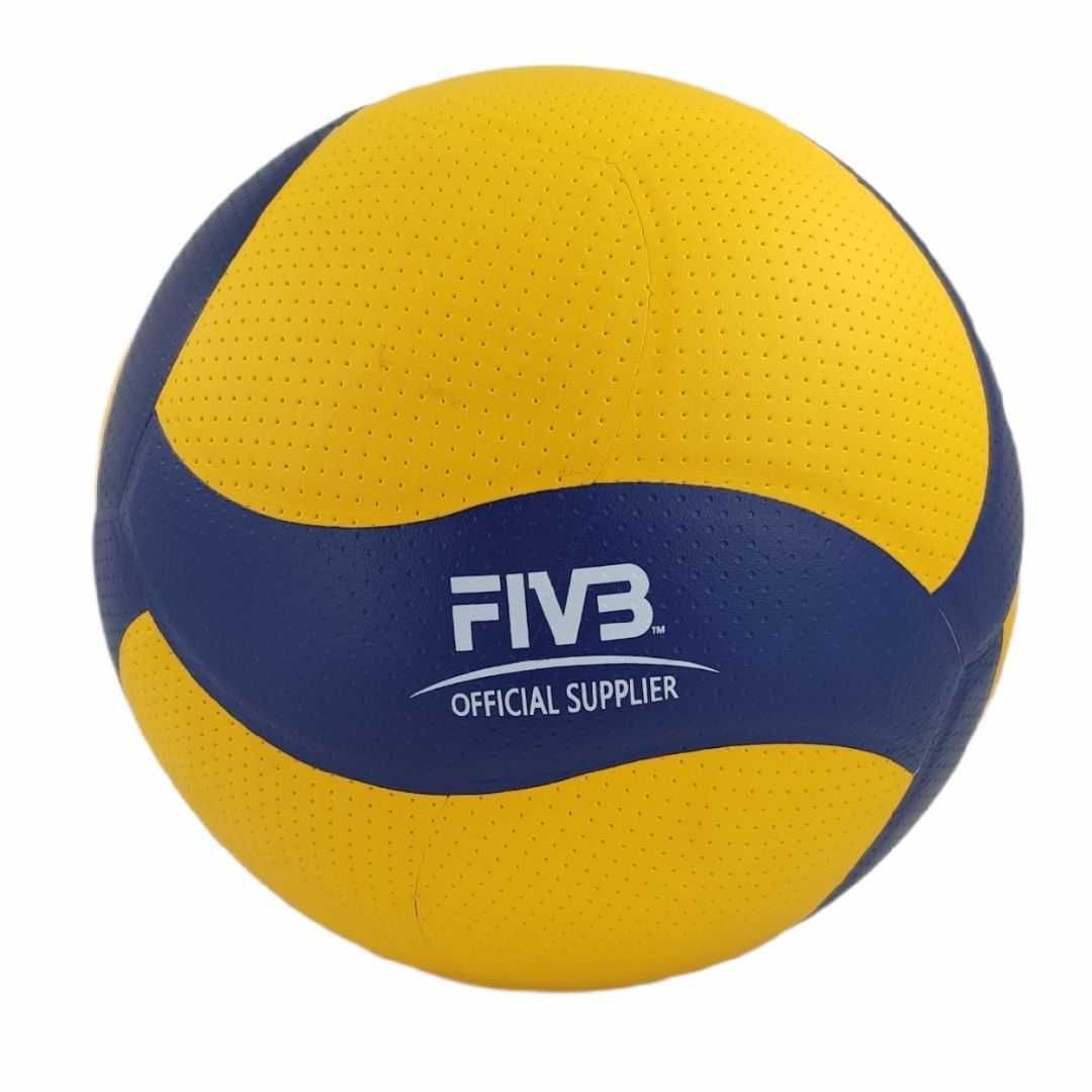 Mikasa Volleyball v200