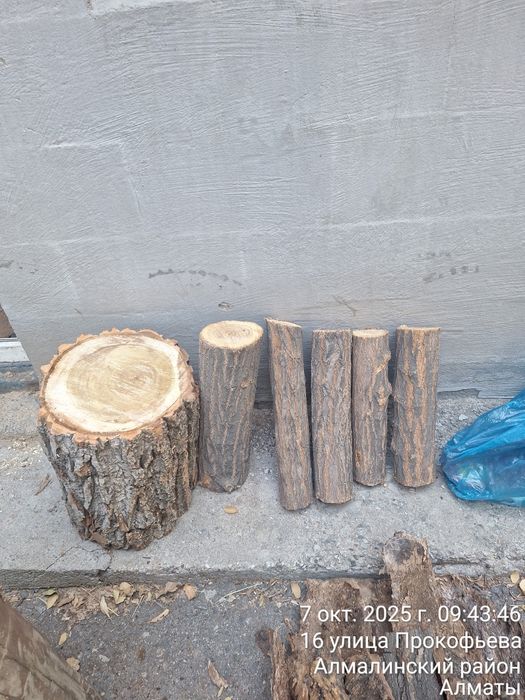 Продам дрова карагача и яблони