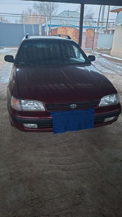 Карина е жагдаиы жаксы