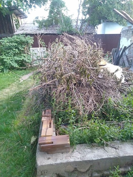 Продам дрова кому нужны