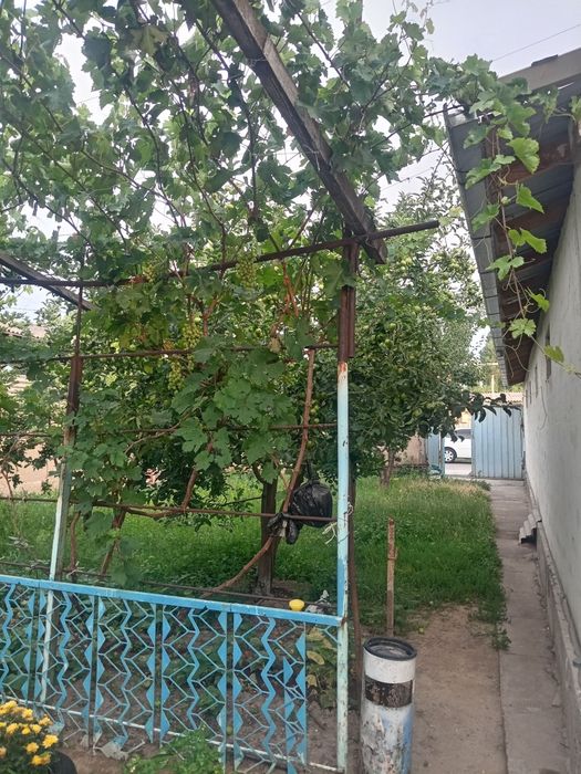 Продаётся дом в Бустанлыкском районе посёлок Таваксай
