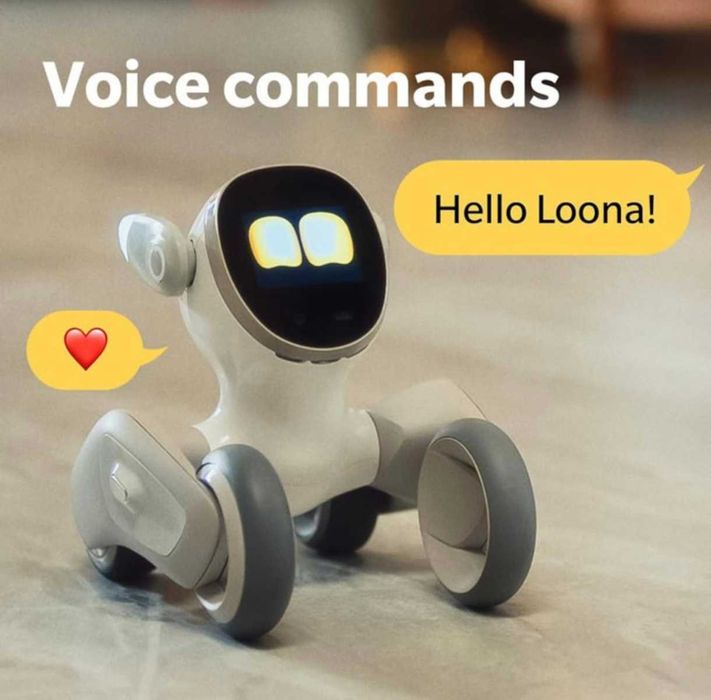 Robot Loona, interactiune inteligenta Chat GPT, recunoastere faciala