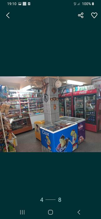 Casa de vanzare (vilă)