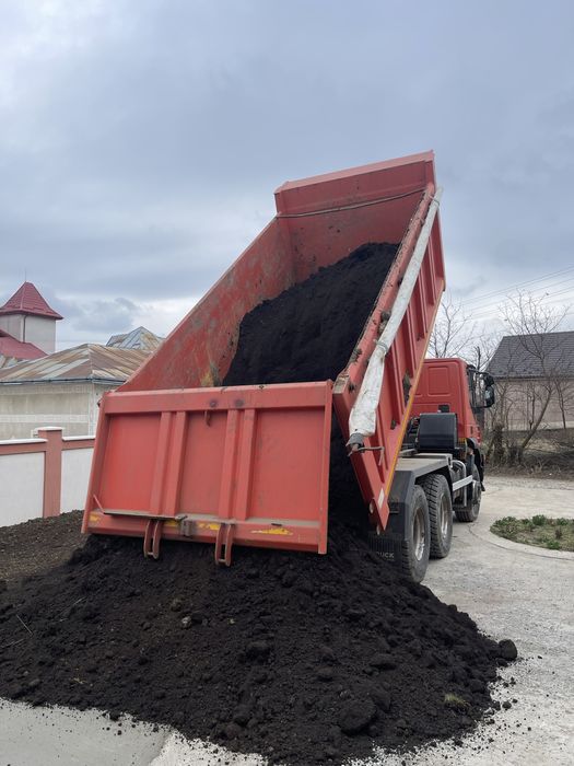 Ofer servicii Gradinarit
