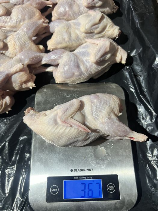 Перепелка мясо, яйцо