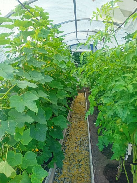 Дача в Темиртау.