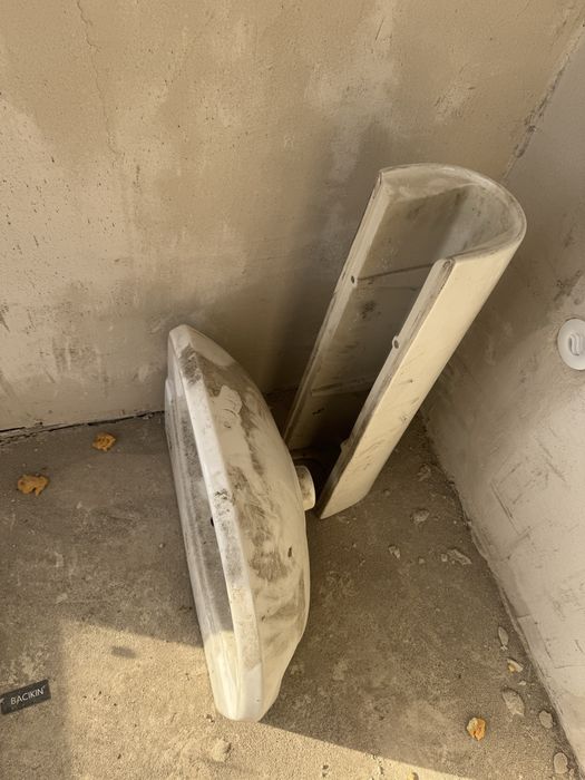 Раковина с тюльпаном