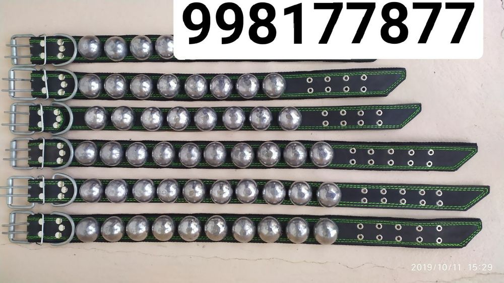 Ашейник шилейка павадок