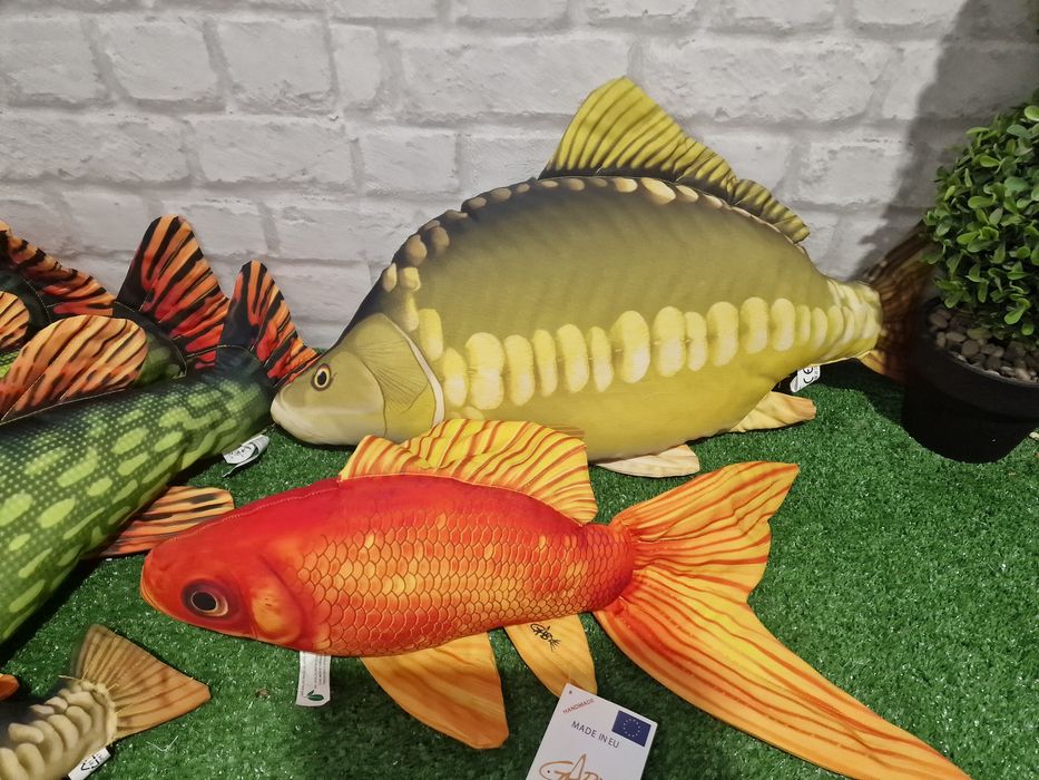 Възглавници риби разнообразие