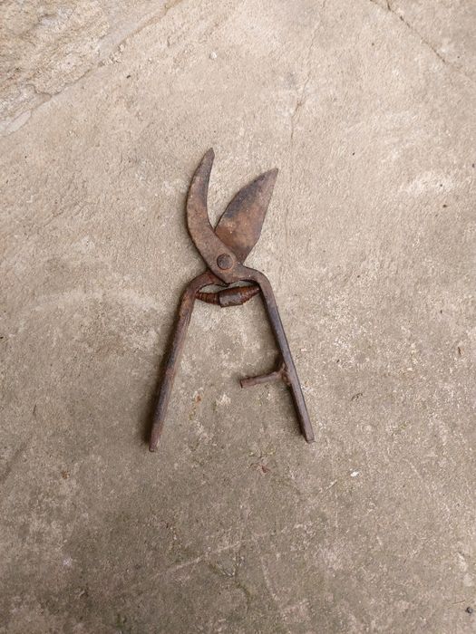 Старинно Вещи соц