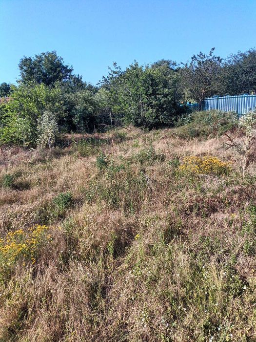 1833-Продава се едноетажна къща в село Ясеновец.