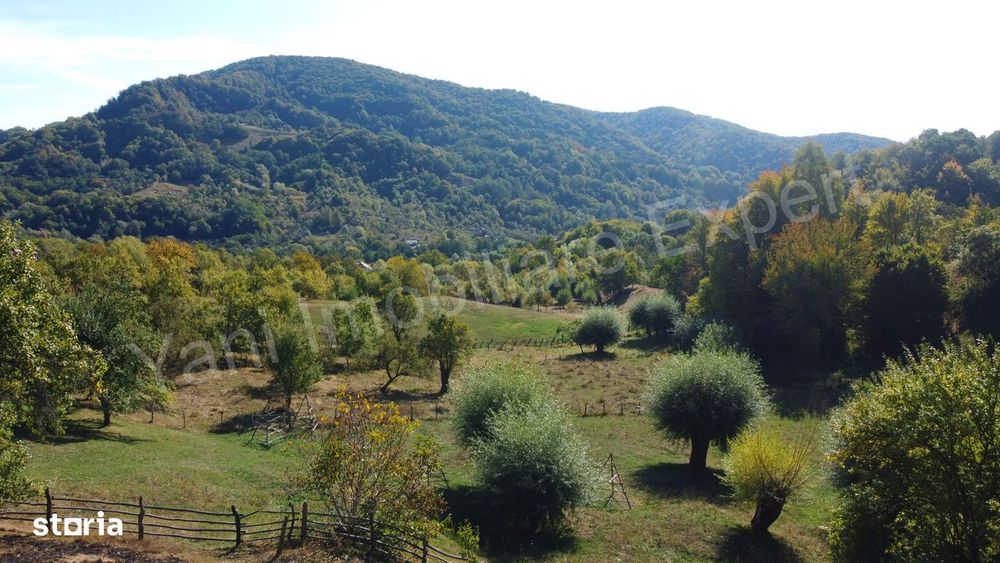 Teren 2264 mp de vânzare în comuna Brăduleț,  județ Argeș.
