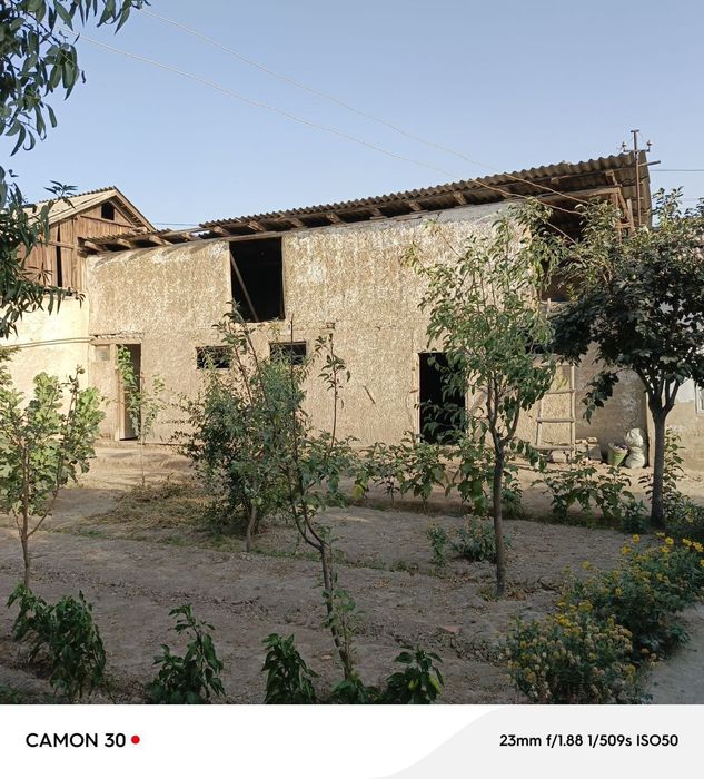 Rus jojasi eshakdagi fohishani sikadi