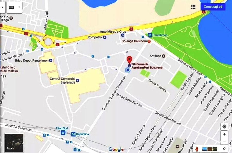 Seminte de spanac Matador