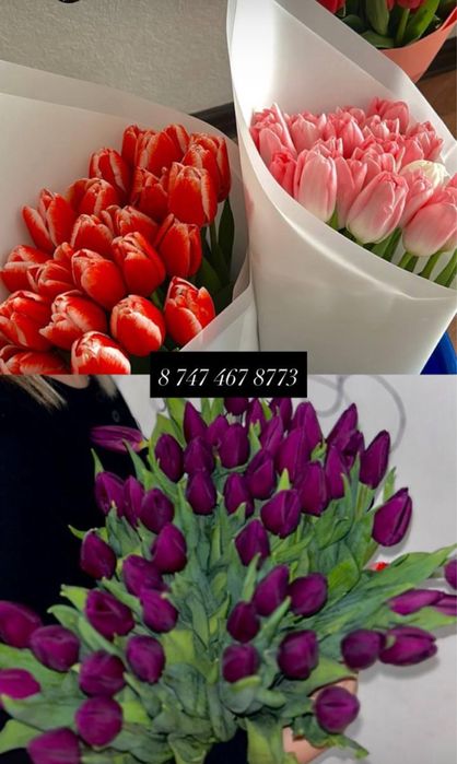 Тюльпаны к 8 марта , упаковка, открытка ,доставка