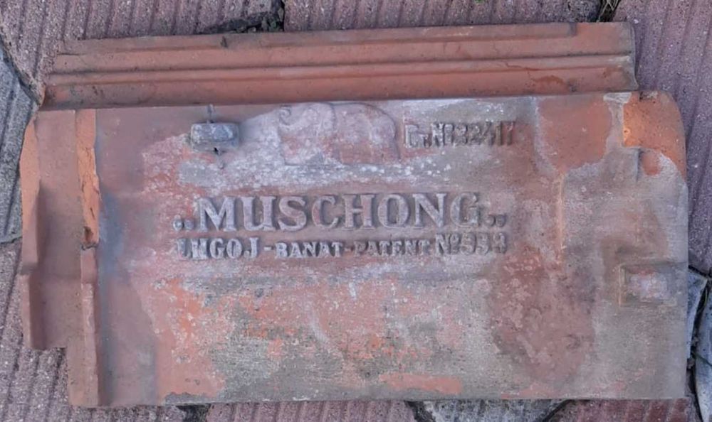 Caut Tigla Muschong Patent No. 333
