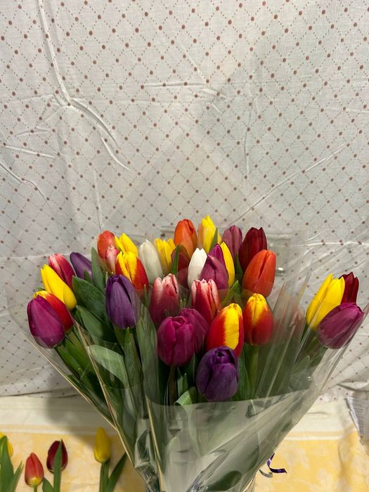 Тюлпаны Город Павлодар Аксу