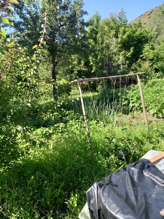 Продам дом на первом кордоне