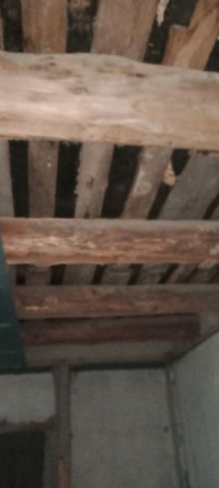 Utin va bolorlar sotiladi srocna