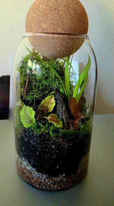 Terarii handmade