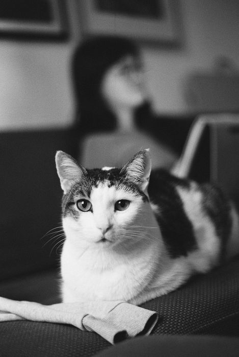 Minolta 5000 + AF Minolta 50mm f/1.7 лентов апарат с обектив