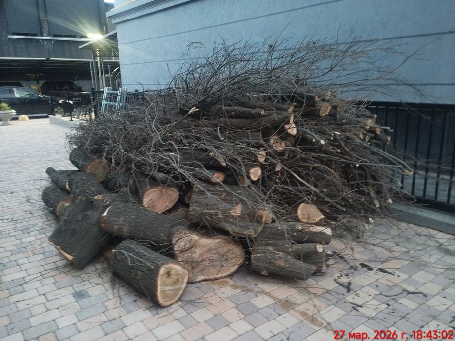 Yogoch sotiladi , yahshi