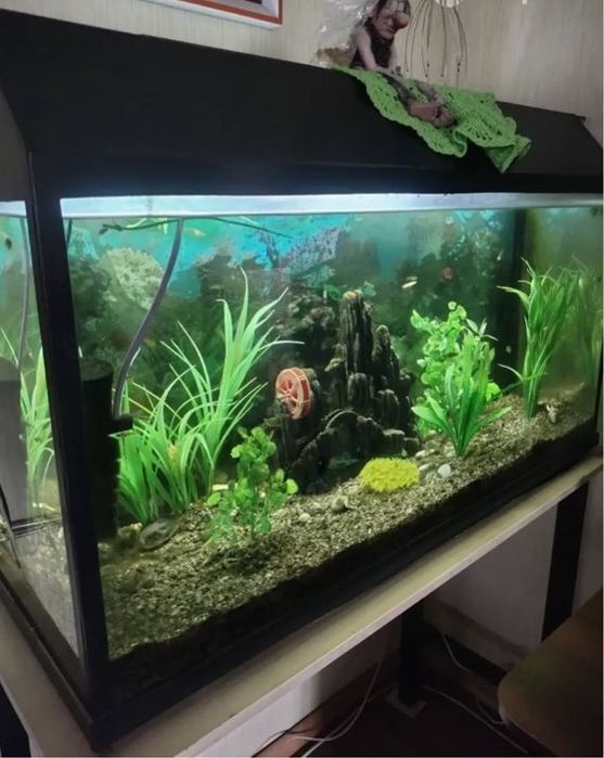 Аквариум 250л с тумбой , декорациями