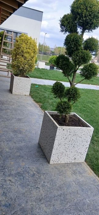 Jardiniere ,ghiveci
