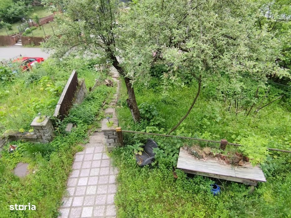 Valea Rosie, casa
