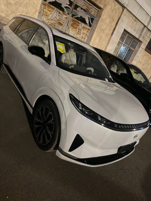 Донгфен 008  автосалонда. 25/26. Ултра Рестайлинг массаж