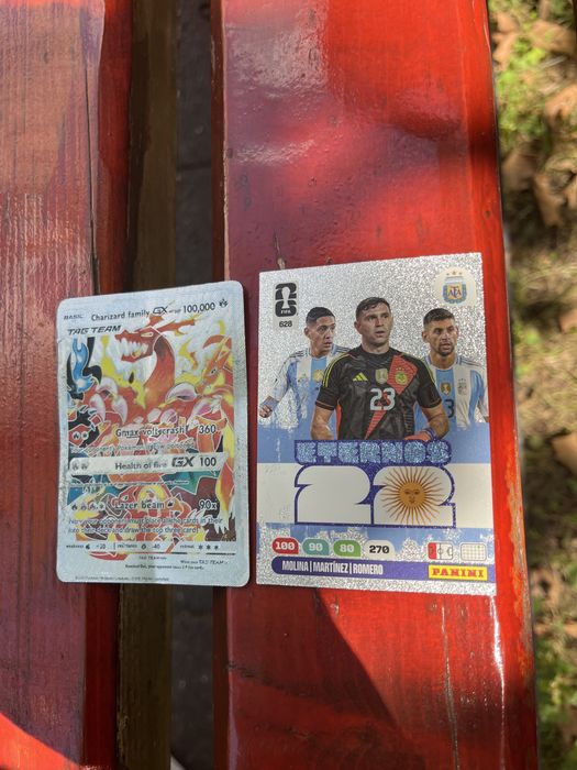 Martines fifa world cup  pokemon Crazirard mafily