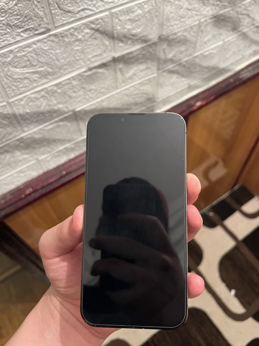 iPhone  13   pro