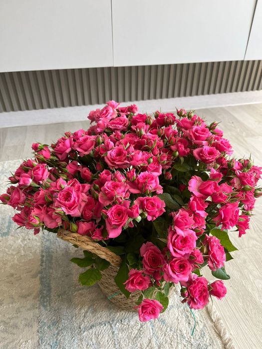 Свежый гул сатылады