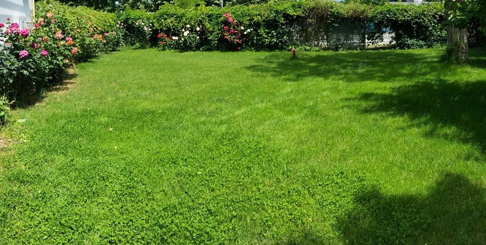 Apartament 3 camere, Stațiunea Saturn, 110 mp