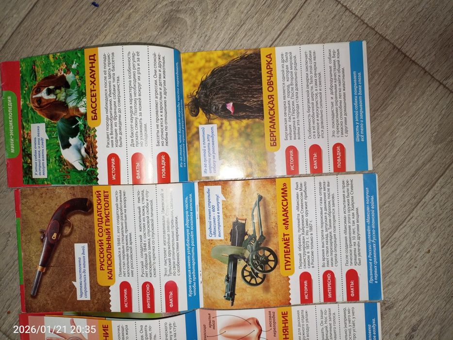 Мини-энциклопедия для детей