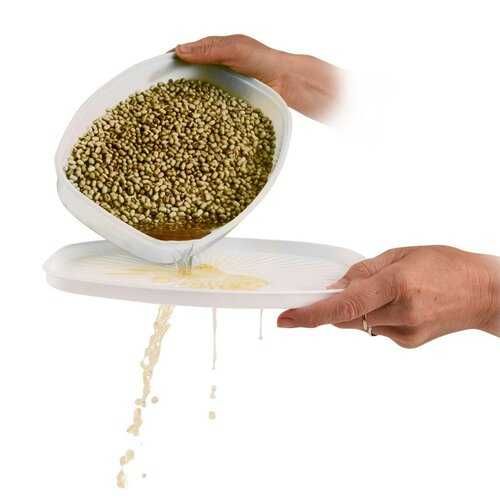 Tavita de germinat seminte si microplante