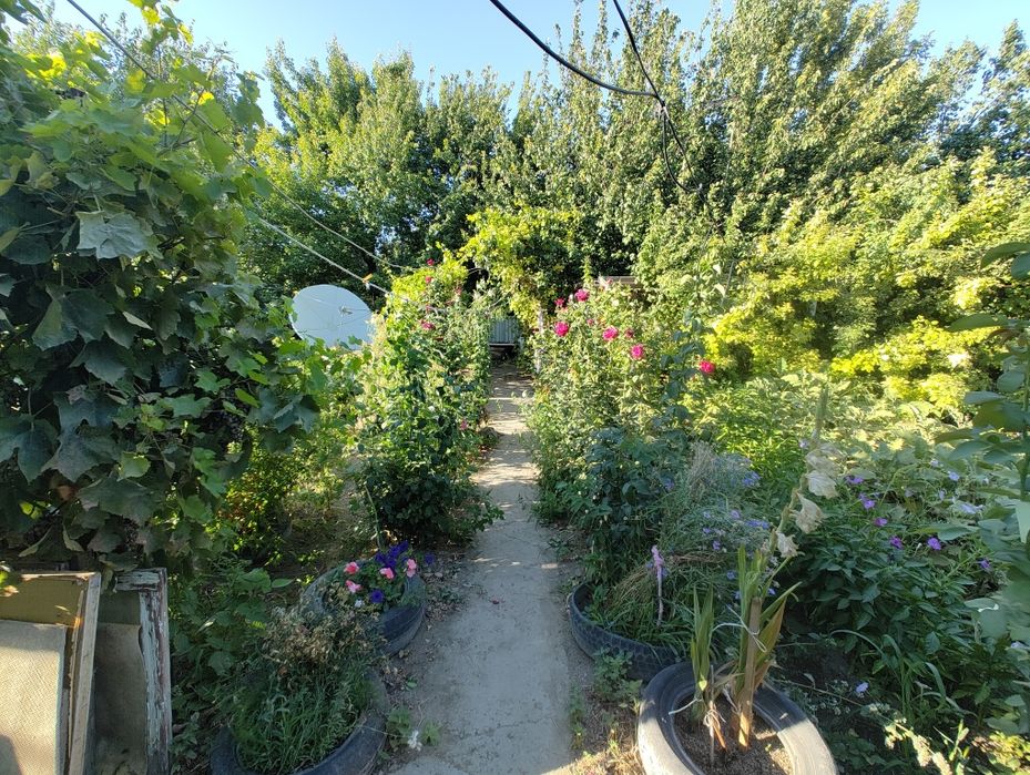 Продам Дачу "Сабалак"