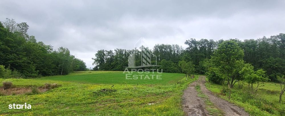 Teren agricol si pasune de 5300+3300 mp, Cuied